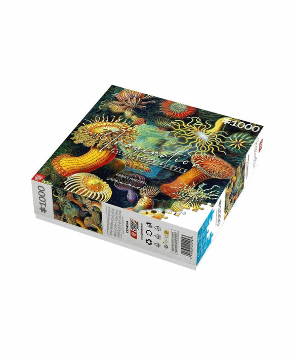 Imagination Puzzle: Ernst Haeckel Sea Creatures 1000 elements