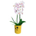 CERAMIC CASE 13.5X14CM CYLINDER ORCHID - Кашпи<<<Саксии кашпи и цветарници<<<Градина<<<Praktiker&&&Кашпи<<<Саксии кашпи