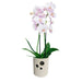 CERAMIC POT 13.5X14CM CYLINDER ORCHID - Кашпи<<<Саксии кашпи и цветарници<<<Градина<<<Praktiker&&&Кашпи<<<Саксии кашпи