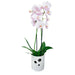 CERAMIC POT 13.5X14CM CYLINDER ORCHID - Кашпи<<<Саксии кашпи и цветарници<<<Градина<<<Praktiker&&&Кашпи<<<Саксии кашпи