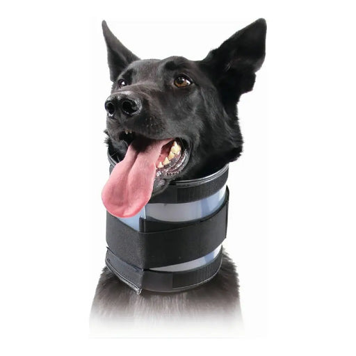 Cervical Collar for Dogs KVP Black (20-64 cm) - Домашни Животни<<<Дом Градина<<<BigBuy&&&Здраве и хигиена<<<Домашни