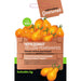 CHERRY TOMATO SEEDS YELLOW PEARSHAPED GOURMET - Семена<<<Семена луковици и разсад<<<Градина<<<Praktiker