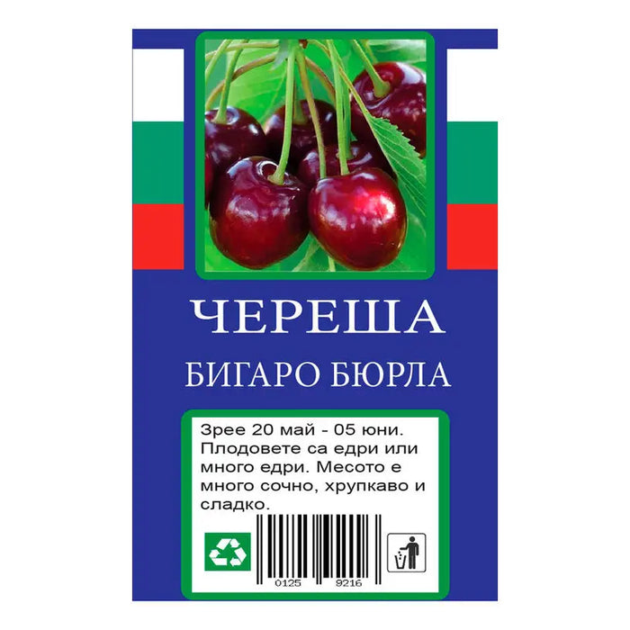 CHERRY WITH PACKAGED ROOT - Овошки<<<Външни растения<<<Градина<<<Praktiker