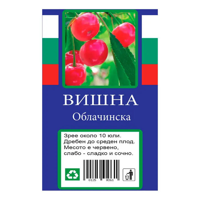 CHERRY WITH PACKAGED ROOT - Овошки<<<Външни растения<<<Градина<<<Praktiker