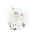 Christmas bauble DKD Home Decor Owl Resin (7,5 x 7 x 10 cm) (2 Units) - Декорация и Осветление<<<Дом