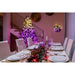 CHRISTMAS LIGHTING STRING 200CM 250LED TWINKLY TWS250STP-BEU - Външно осветление<<<Коледно Осветление<<<Коледна