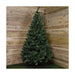 Christmas Tree EDM 71584 Green Pinewood 210 cm - Декорация и Осветление<<<Дом Градина<<<BigBuy&&&Коледни
