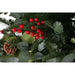 Christmas Tree Home ESPRIT Red Green PVC Metal 95 x 95 x 150 cm - Декорация и Осветление<<<Дом