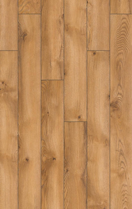 LAMINATE 8MM AC5/33 4V GLASGOW OAK