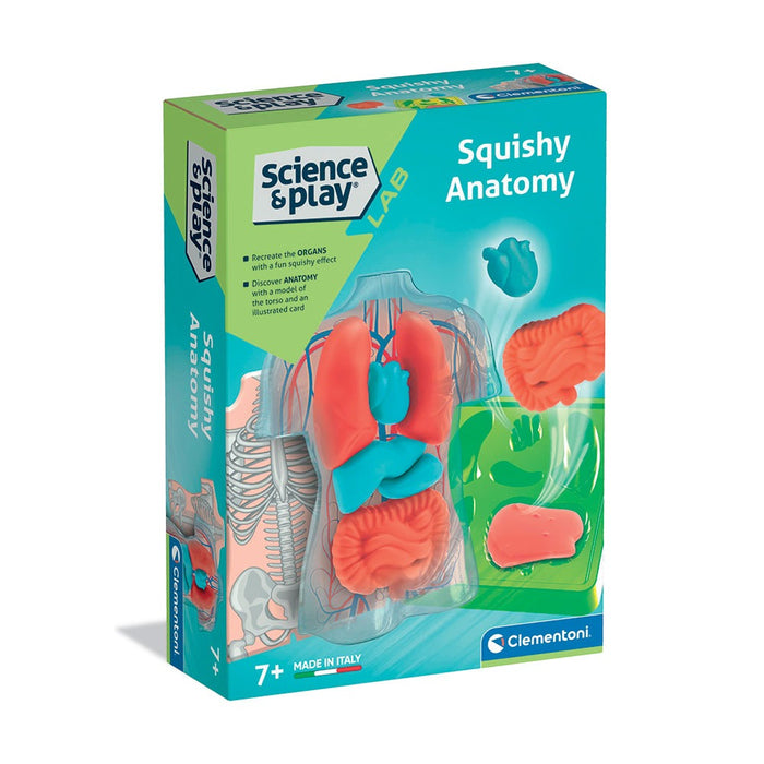 Образователен комплект Clementoni Science & Play - Squishy Anatomy