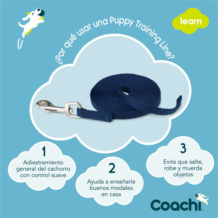 Dog Lead Coachi Blue 2,5 m Training