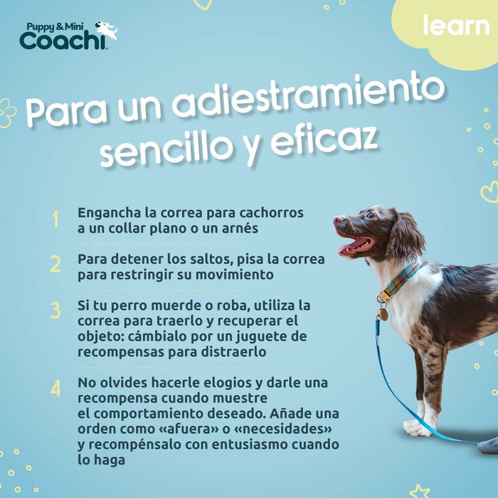 Dog Harness Coachi