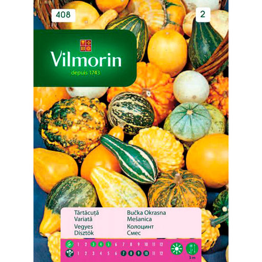 COLOCINTH MIXTURE VILMORIN SEEDS - Семена<<<Семена луковици и разсад<<<Градина<<<Praktiker