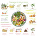 COMPOSTER 160L GARDEN STAR HD-10156 - Компостери<<<Саксии кашпи и цветарници<<<Градина<<<Praktiker