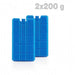 COOLING PACK 0.2L 2BR ATLANTIC - Хладилни кутии<<<Къмпинг<<<Градина<<<Praktiker&&&Охладители<<<За кухнята<<<Малки