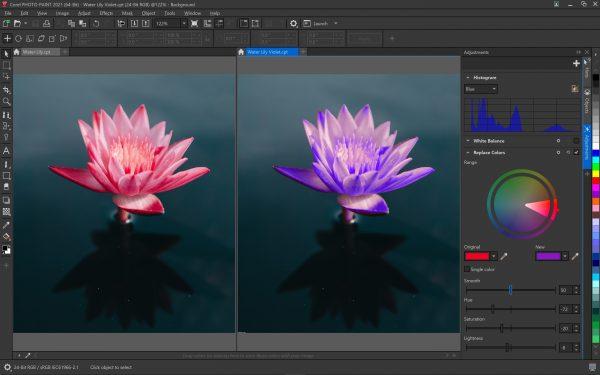 Software CorelDRAW Graphics Suite Enterprise License (incl. 1 Yr CorelSure Maintenance)(1-10)