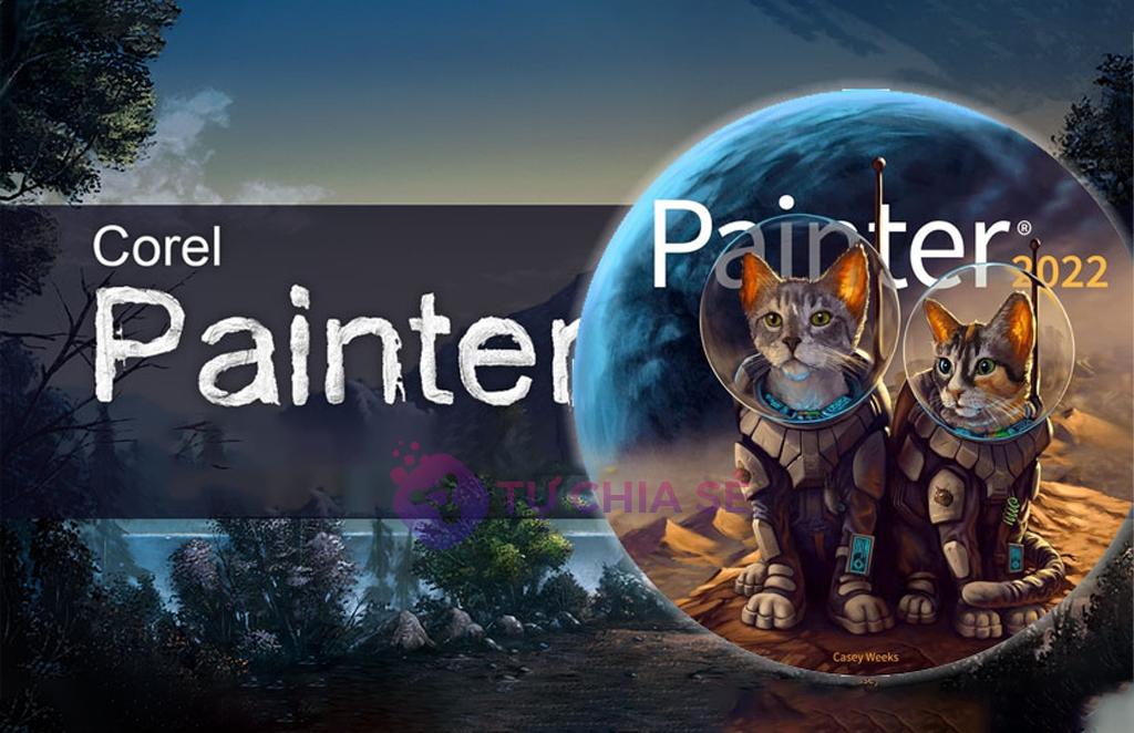 Software Painter 2022 License (Single User)