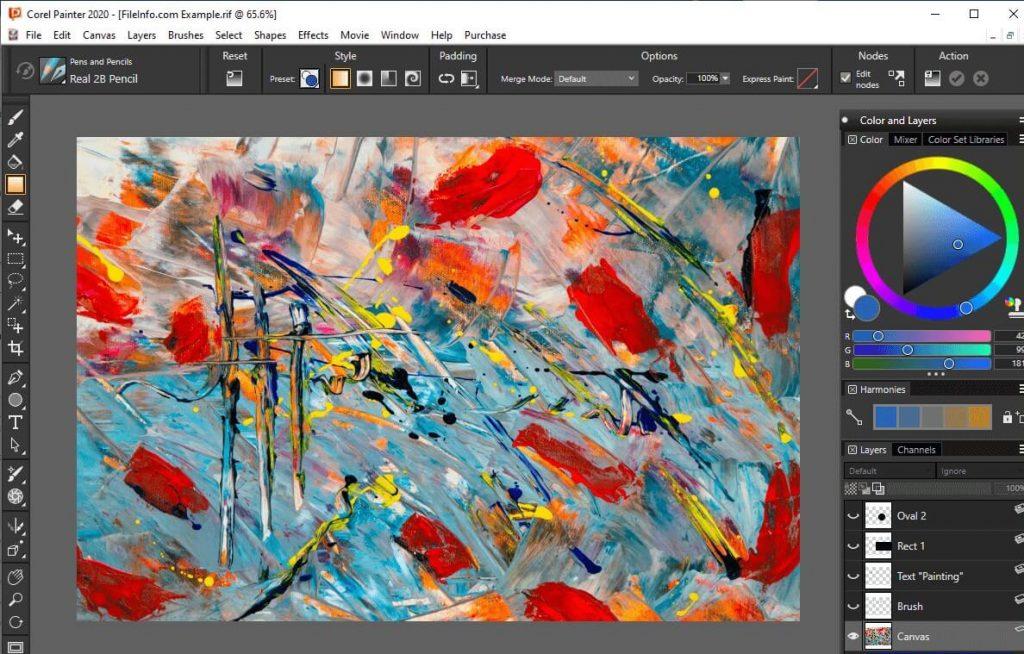 Software Painter 2022 License (Single User)