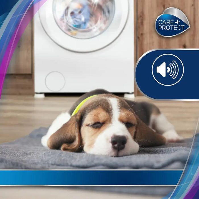 Cushions CARE CAF 1001 - Почистване Прахосмукачки И Гладене<<<Дом Градина<<<BigBuy&&&Сушилни ютии и