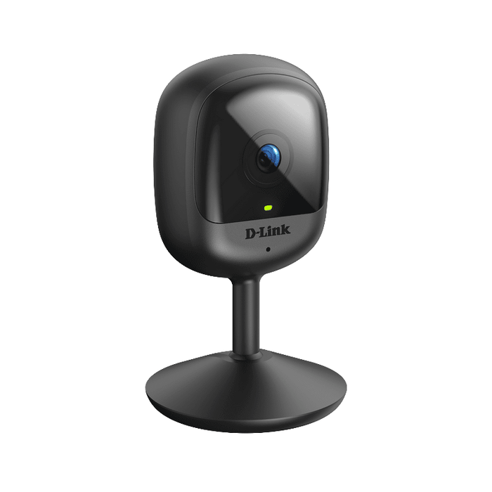 IP camera D-Link DCS-6100LH