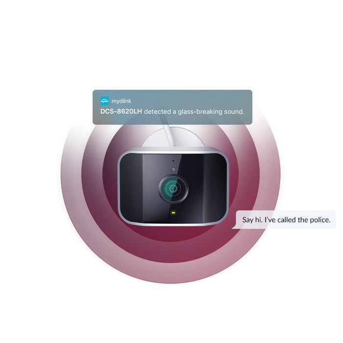 Surveillance Camcorder D-Link DCS-8620LH