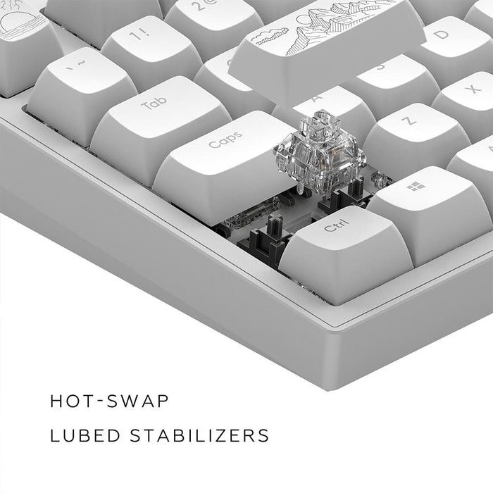 Gaming mechanical keyboard Dark Project ALU81A Terra Nostra White RGB