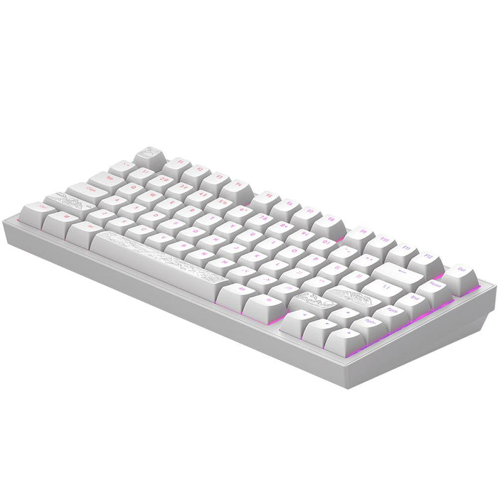 Gaming mechanical keyboard Dark Project ALU81A Terra Nostra White RGB