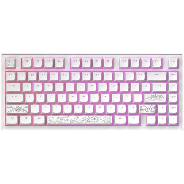 Gaming mechanical keyboard Dark Project ALU81A Terra Nostra White RGB