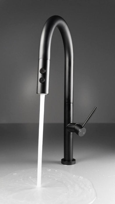 STANDING KITCHEN MIXER LENA BL DEANTE