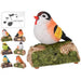 DECO FIGURE SINGING BIRD 13CM - Декоративни фигури<<<Градина<<<Praktiker