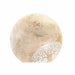 Decorative Figure DKD Home Decor White Natural Tree Owl Stripped 13 x 13 x 13 cm - Декорация и Осветление<<<Дом
