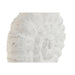 Decorative Figure Home ESPRIT White Natural Mediterranean Snail 29 x 7,5 x 38,5 cm - Декорация и Осветление<<<Дом