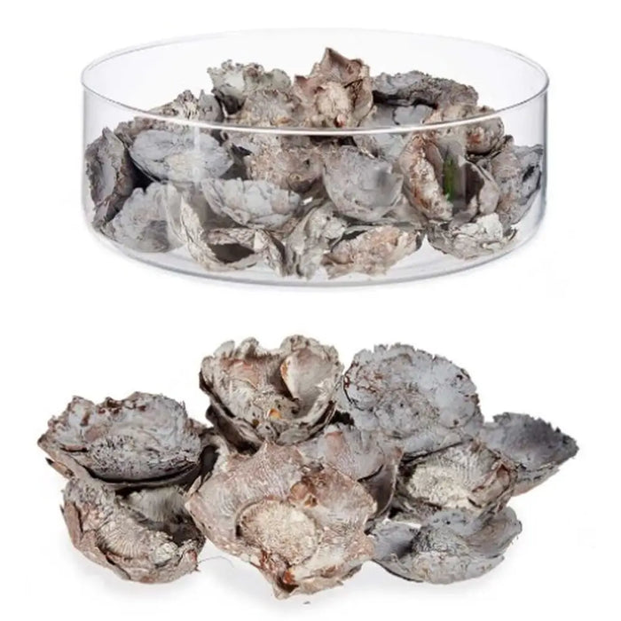 Decorative Flowers Gift Decor Natural 9 x 27 x 9 cm (12 Units) - Декорация и Осветление<<<Дом Градина<<<BigBuy&&&Други