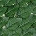 DECORATIVE LANDSCAPING 100X300CM ROSSIMA BAULE LEAF - Изкуствено озеленяване<<<Мрежи и огради<<<Градина<<<Praktiker