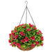 DECORATIVE LANDSCAPING HANGING BASKET ROSSIMA BOUGAINVILLE - Изкуствено озеленяване<<<Мрежи и