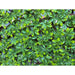 DECORATIVE PANEL ACCORDION 100X200CM ROSSIMA MZ 192033A - Изкуствено озеленяване<<<Мрежи и огради<<<Градина<<<Praktiker