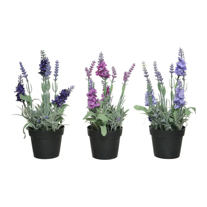 Decorative Plant 25 cm PVC Lavendar - Декорация и Осветление<<<Дом Градина<<<BigBuy&&&Други артикули за