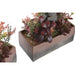 Decorative Plant DKD Home Decor 19 x 9 x 22 cm Pink Orange Cactus Eva Rubber polypropylene (2 Units) - Декорация и