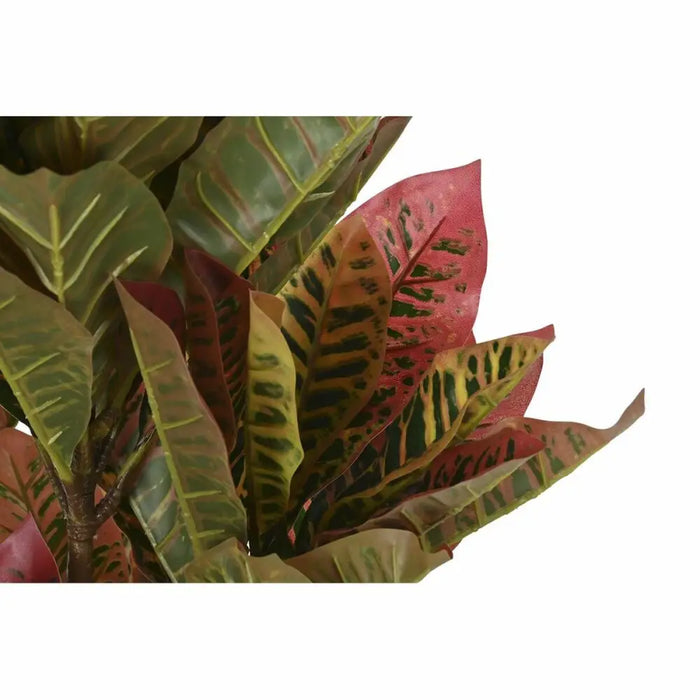 Decorative Plant DKD Home Decor Brown Polyethylene Green 50 x 50 x 140 cm - Декорация и Осветление<<<Дом