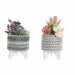 Decorative Plant DKD Home Decor Cactus Resin Polyethylene 11 x 11 x 21 cm (2 Units) - Декорация и Осветление<<<Дом