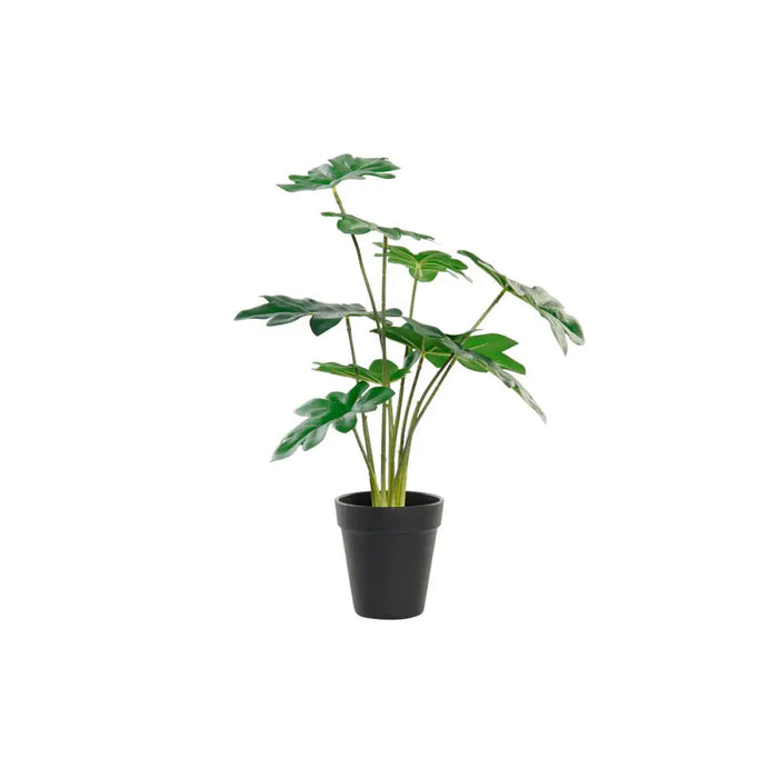 Decorative Plant DKD Home Decor Green PE (20 x 20 x 40 cm) - Декорация и Осветление<<<Дом Градина<<<BigBuy&&&Други