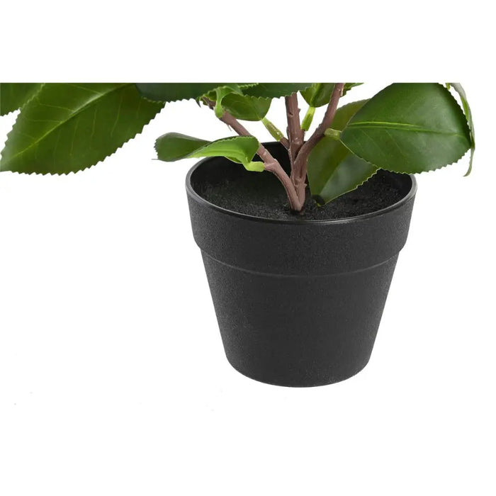 Decorative Plant DKD Home Decor Green PP PE Fig Tree (2 Units) (21 x 18 x 30 cm) - Декорация и Осветление<<<Дом