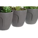 Decorative Plant DKD Home Decor Grey Beige Polyethylene Green polypropylene (11 x 11 x 15 cm) (3 Units) - Декорация и