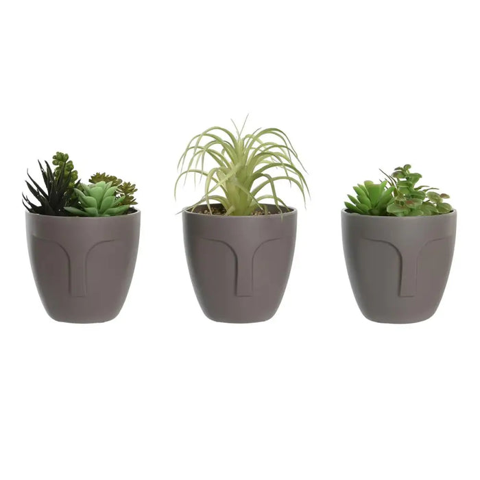 Decorative Plant DKD Home Decor Grey Beige Polyethylene Green polypropylene (11 x 11 x 15 cm) (3 Units) - Декорация и