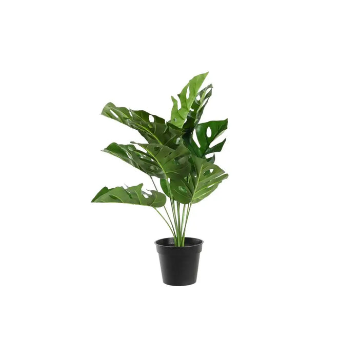 Decorative Plant DKD Home Decor Monstera Green PP PE (48 x 42 x 51 cm) - Декорация и Осветление<<<Дом