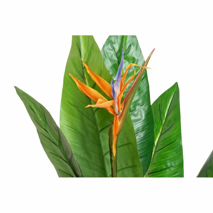 Decorative Plant DKD Home Decor PVC Plastic 100 x 100 x 145 cm - Декорация и Осветление<<<Дом Градина<<<BigBuy&&&Други