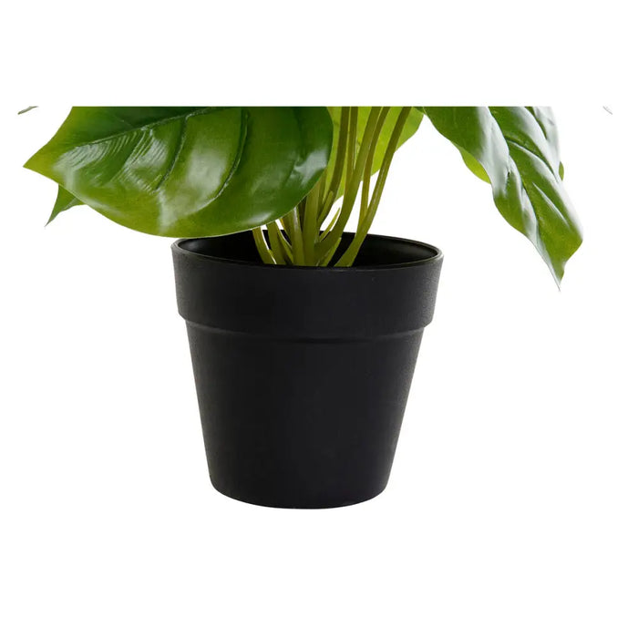 Decorative Plant DKD Home Decor PVC polypropylene 20 x 20 x 30 cm - Декорация и Осветление<<<Дом