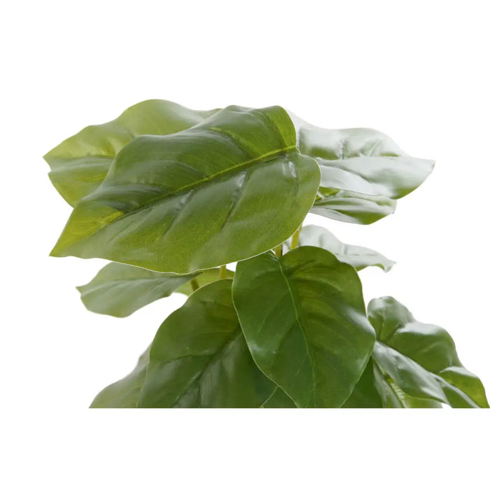 Decorative Plant DKD Home Decor PVC polypropylene 20 x 20 x 30 cm - Декорация и Осветление<<<Дом