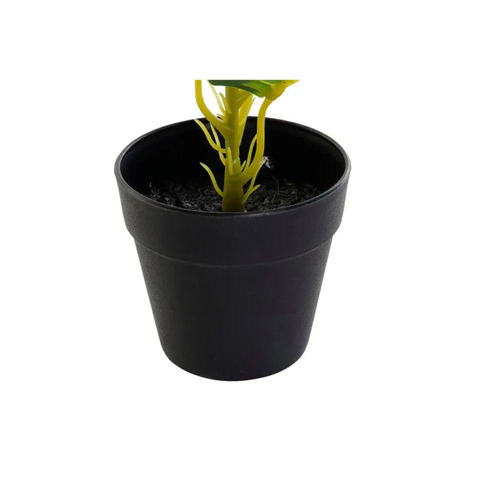 Decorative Plant DKD Home Decor PVC polypropylene 25 x 25 x 30 cm - Декорация и Осветление<<<Дом