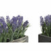 Decorative Plant DKD Home Decor Wood Polyethylene 32 x 14 x 19,5 cm (2 Units) - Декорация и Осветление<<<Дом